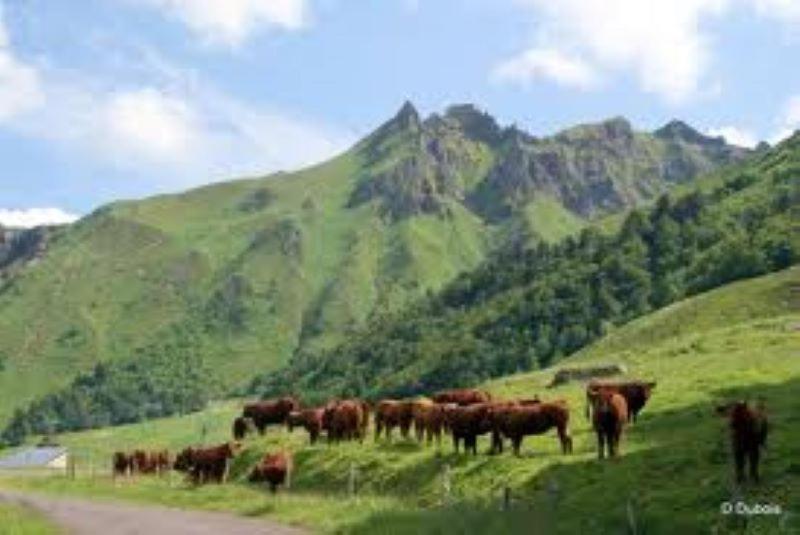 Apartment Lilas, Saint Antoine, Orcival, Entre Sancy Et Volcans. Orcival